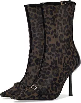 Ботинки Steve Madden Ashlin, цвет Leopard Mesh
