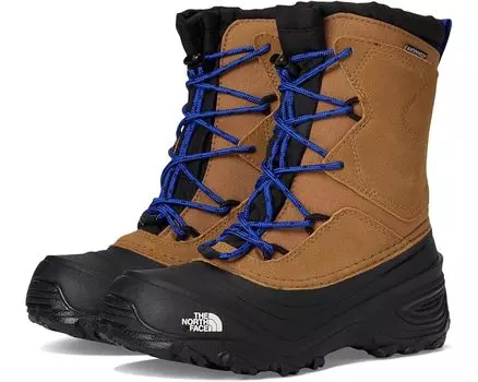 Ботинки The North Face Kids Alpenglow V Waterproof, цвет Utility Brown/TNF Blue