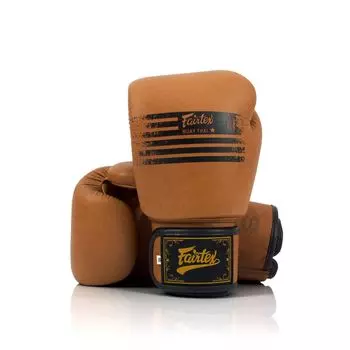 Боксерские перчатки Fairtex BGV21 Legacy