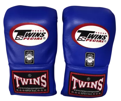 Боксерские перчатки Twins Special TBGL1H Bag, синий