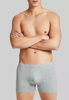 Боксеры 3 PACK DYNAMIC RAGNO, серый