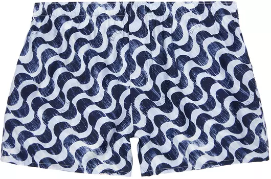 Боксеры Blue Waves ZEGNA