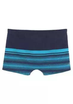 Боксеры-боксеры Venice Beach в полоску, синий