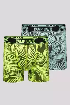 Боксеры CAMP DAVID, разноцветный