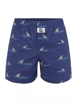 Боксеры D.E.A.L International, светло-синий/темно-синий