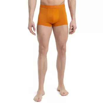 Боксеры Icebreaker Anatomica Cool-Lite Trunks Merino, оранжевый