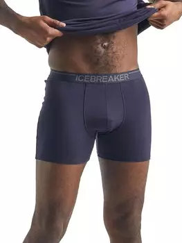 Боксеры Icebreaker Anatomica, синий