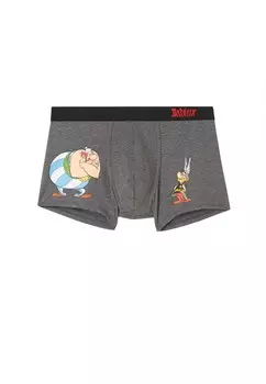 Боксеры Intimissimi ASTERIX E OBELIX, серый