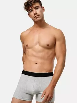 Боксеры копенгаген Indicode, мультиколор