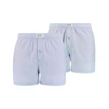 Боксеры Levis Web-Boxershorts 2 шт, светло-синий