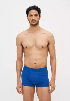 Боксеры MEN PREMIUM TRUNK 3 PACK Levi's, темно-синий