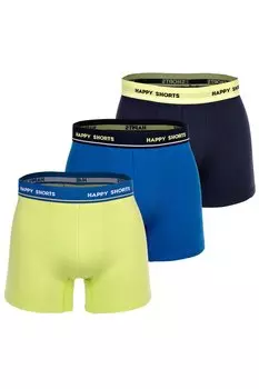 Боксеры Ретро - 3 пары Happy Shorts, зеленый