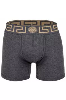 Боксеры с логотипом Топика Versace, серый