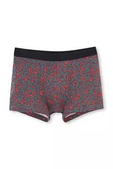 Боксеры с принтом Dagi, красный