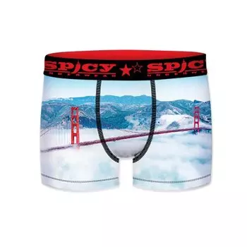 Боксеры Spicy StFrancisco, разноцветный