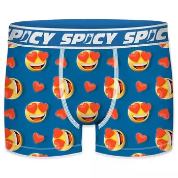 Боксеры Spicy T679-1, разноцветный