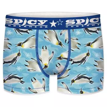 Боксеры Spicy T680-3, синий