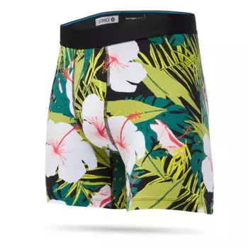 Боксеры Stance Alonzo, разноцветный