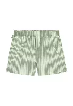 Боксеры STRIPED Pockies, зеленый