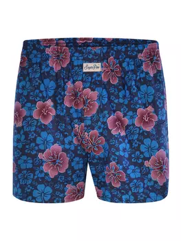 Боксеры Sugar Pine Boxershorts Aloha Vera, разноцветный