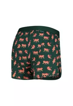 Боксеры TIGER A-dam, зеленый