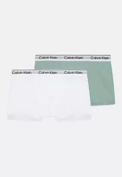 Боксеры TRUNK 2 PACK Calvin Klein Underwear, зеленый