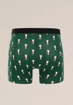 Боксеры WE Fashion, зеленый