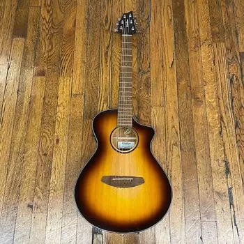 Breedlove Discovery S Companion CE