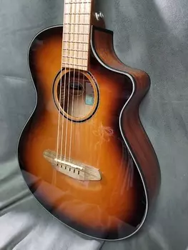Breedlove Discovery S Companion CE Edgeburst