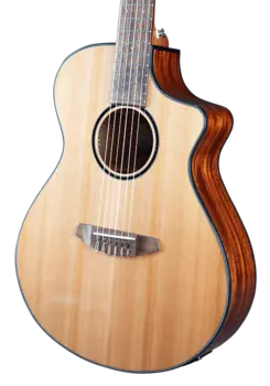 Breedlove Discovery S Concert CE Нейлон Discovery S Concert CE Nylon