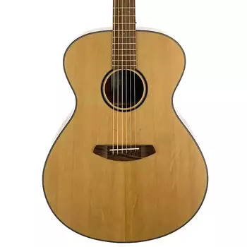 Breedlove Eco Discovery S Concerto