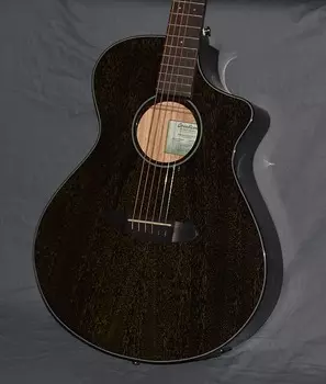 Breedlove Rainforest S Concert CE 2022 Черное золото