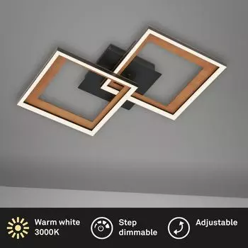 Briloner Leuchten FRAME - настенный и потолочный светильник - 3726015 - плавная регулировка яркости - теплый белый 3000K - функция памяти - поворотный - 44 x 44 x 8 см, черный