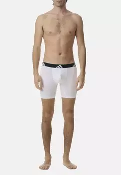 Брюки 12ER PACK Adidas Originals, серый