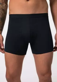 Брюки 2ER PACK JP1880, синий