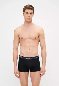 Брюки 3 PACK Lacoste, мультиколор