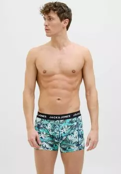 Брюки 5 PACK Jack & Jones, светло-зеленый