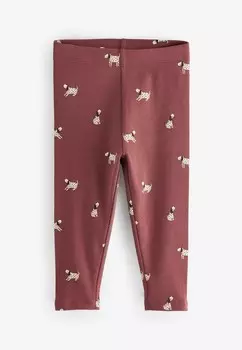 Брюки 5 PACK, Leggings Next, оранжевый