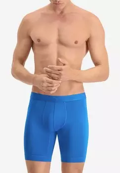 Брюки 6 PACK Puma, синий