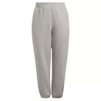 Брюки adidas Originals Adicolor Big, серый