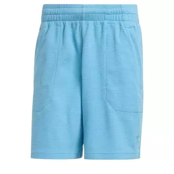 Брюки ADIDAS ORIGINALS Regular Pants Essentials, светло-голубой