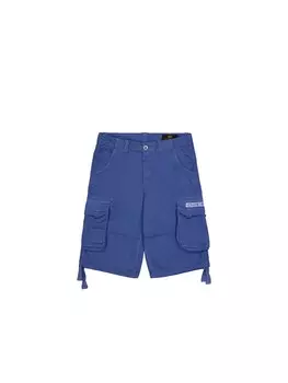 Брюки ALPHA INDUSTRIES, темно-синий