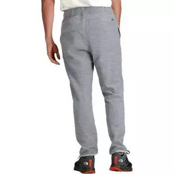 Брюки Alpine Polartec 100 мужские The North Face, серый