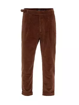 Брюки Antioch Regular Pleat-Front Pants, цвет Mocha
