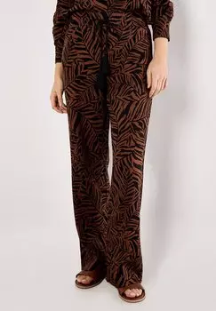 Брюки Apricot, коричневый
