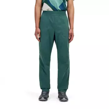 Брюки Berghaus Explorer, зеленый