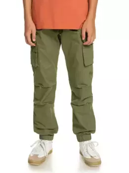 Брюки без застежки Quiksilver "Upcargo To Surf", цвет Four Leaf Clover