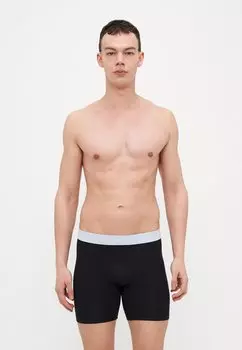 Брюки BRIEF 5 PACK Calvin Klein Underwear, мультиколор