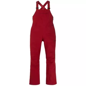 Брюки Burton GORE-TEX Avalon Bib