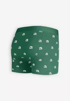 Брюки CARAVAN A-dam, зеленый